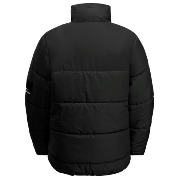 Куртка для мальчиков Jack Wolfskin Teen Ins Jacket Y 128 / / Осень - Зима photo 2