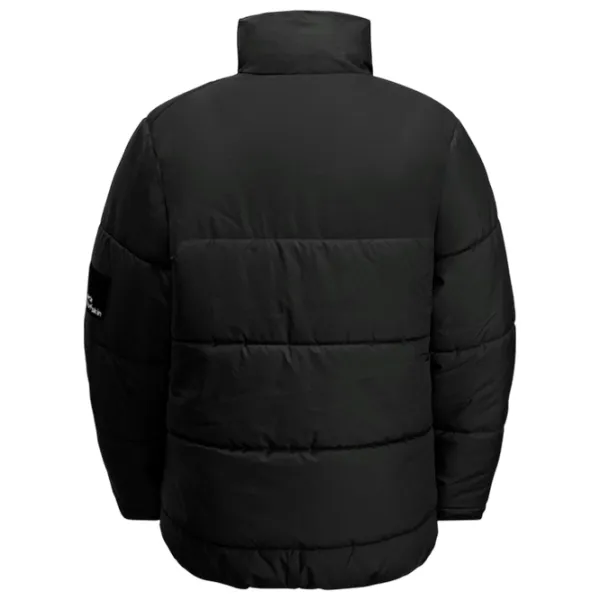 Куртка для мальчиков Jack Wolfskin Teen Ins Jacket Y 140 / / Осень - Зима photo 2