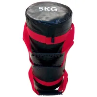 Sac pentru crossfit Insportline SPTM-12  / 5 kg