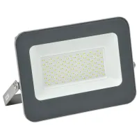 Proiector LED IEK СДО 07-100 White / 900 lm