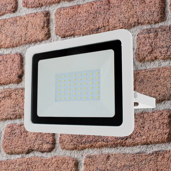 Proiector LED Milanlux MLNP10065A White /  photo 3