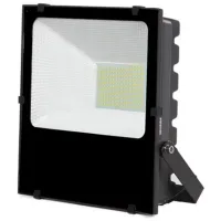 Прожекторы Milanlux MLNP2065 Белый / 1600 лм