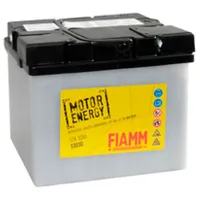 Аккумулятор для мотоцикла Fiamm 53030  300A / 30 Ач 