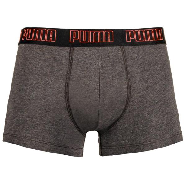 Tрусы для мужчин Puma Basic Trunk 2P S / Разноцветный photo 1