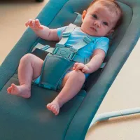 Детские качели Chicco RhythmNSound (17172) 9 кг/ Тёмно-серый photo 7