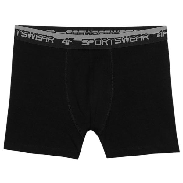 Сhiloţi pentru bărbați 4F 4FWSS24UBXSM036 XXL / Black photo 1