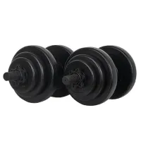 Гантель Sportmann SM1116  20 кг / Количество в наборе - 2