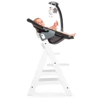 Leagăn pentru bebeluși Hauck Alpha Bouncer 2in1 Deluxe (HK.111106) 9 kg/ Gray photo 2
