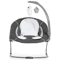 Leagăn pentru bebeluși Hauck Alpha Bouncer 2in1 Deluxe (HK.111106) 9 kg/ Gray photo 7