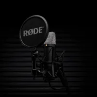Профессиональный микрофон Rode NT1 5th Generation Черный photo 9