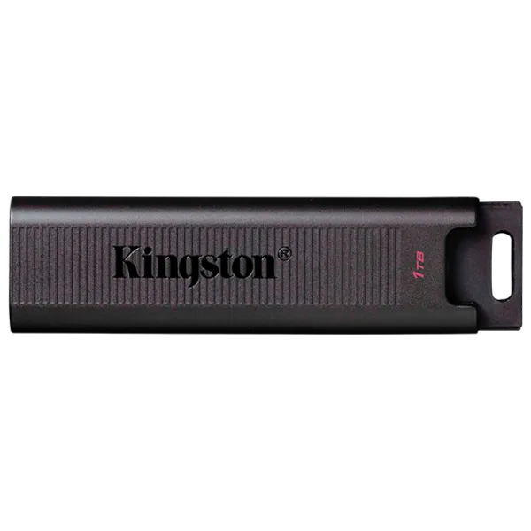 Kingston DataTraveler Max 1 ТБ Черный photo 1