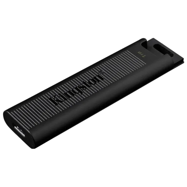 Kingston DataTraveler Max 1 ТБ Черный photo 3