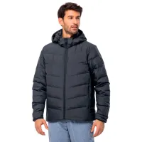 Куртка для мужчин Jack Wolfskin Colonius Jkt Демисезон / Тёмно-синий