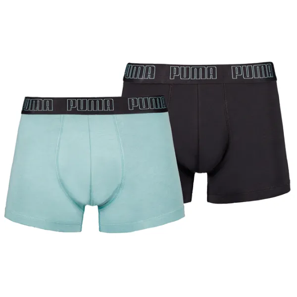 Сhiloţi pentru bărbați Puma Basic Boxer 2P L / Multicolor photo 1