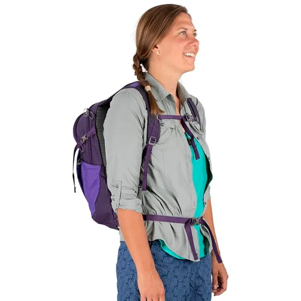 Rucsac Osprey Daylite Plus 15.4" / Gray Purple / 20 l photo 6