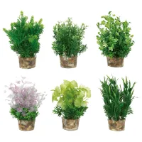 Растения Flamingo 406378 Количество в наборе - 6