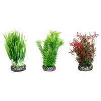 Plante Flamingo 406429 Cantitatea în set - 3