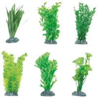 Plante Flamingo Fiji Cantitatea în set - 3