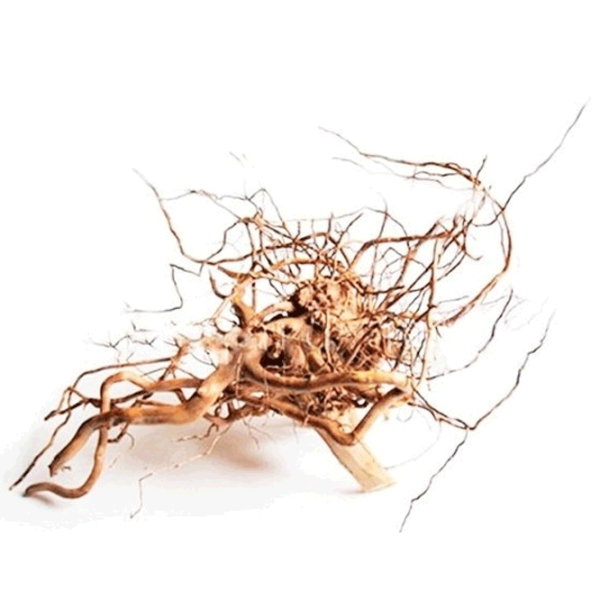 Коряга Aquael Root Driftwood Количество в наборе - 1 photo 5 Коряга Aquael Root Driftwood Количество в наборе - 1 photo 5
