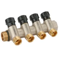 Colector asamblat Bugatti 42020002 