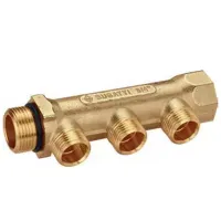 Colector asamblat Bugatti 4221G002 