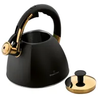 Ceainic Starke Pro Grava 2.5l Oțel / Plastic / Black photo 3