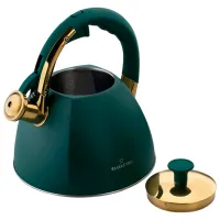 Ceainic Starke Pro Grava 2.5l Oțel / Plastic / Dark Green photo 2