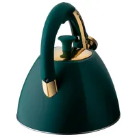 Ceainic Starke Pro Grava 2.5l Oțel / Plastic / Dark Green photo 4