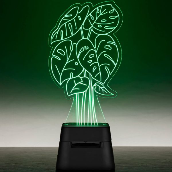 Boxă portabilă Fantasy Led Lights Plant / Black photo 4 Boxă portabilă Fantasy Led Lights Plant / Black photo 4