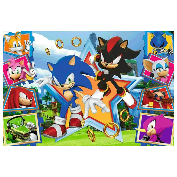 Puzzle Trefl Meet Sonic 5+/ Numărul de piese: 100 photo 2