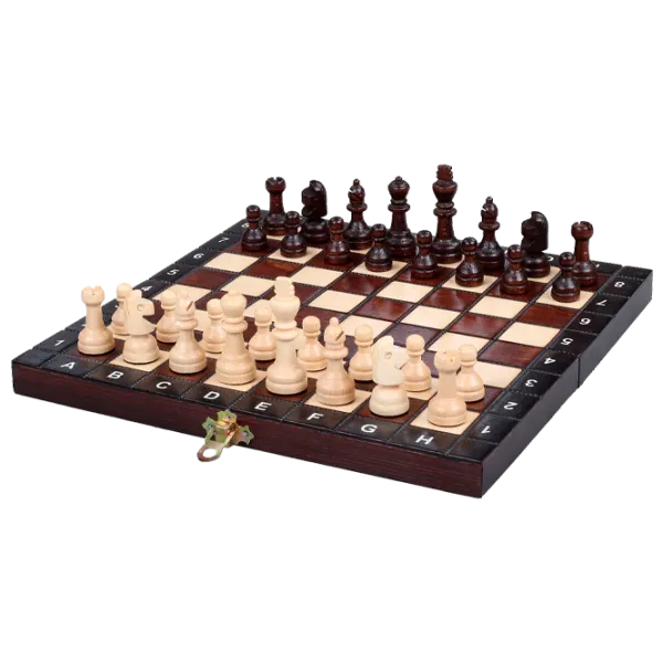 Настольная игра Insportline CH154 14+/ Развитие photo 1 Настольная игра Insportline CH154 14+/ Развитие photo 1