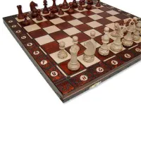 Настольная игра Senator CH125 14+/ Развитие photo 2