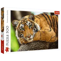 Puzzle Trefl Tiger portrait 9+/ Numărul de piese: 500