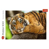 Puzzle Trefl Tiger portrait 9+/ Numărul de piese: 500 photo 3