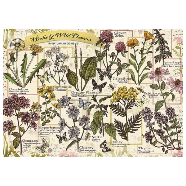 Puzzle Trefl Herbarium: Medicinal Herbs 10+/ Количество деталей: 500 photo 2