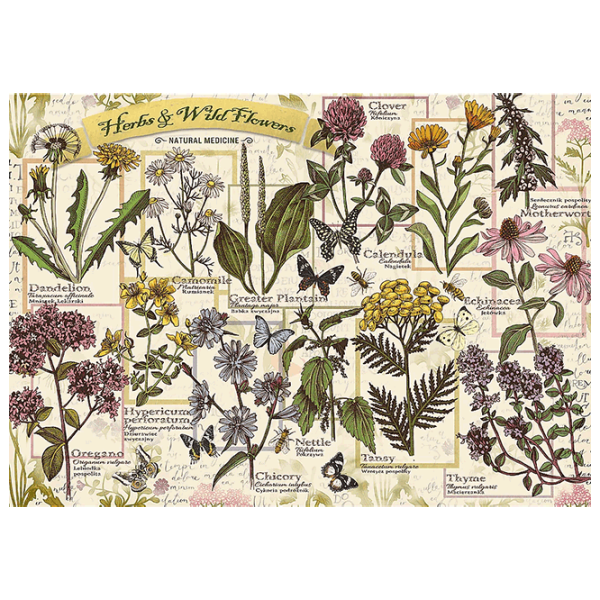 Puzzle Trefl Herbarium: Medicinal Herbs 10+/ Количество деталей: 500 photo 2