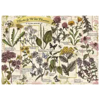 Puzzle Trefl Herbarium: Medicinal Herbs 10+/ Numărul de piese: 500 photo 2