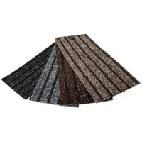 Covoraș intrare PH 42217  800 x 1200 mm / În asortiment