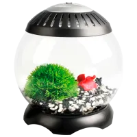 Acvariu Flamingo Nano Aquarium Sphere  5 l / Black