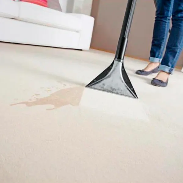 Моющий пылесос KARCHER SE5 1000 Вт / Черный Белый photo 3