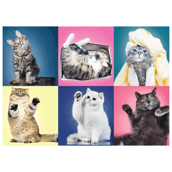 Puzzle Trefl Kittens 10+/ Количество деталей: 500 photo 2