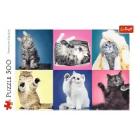 Puzzle Trefl Kittens 10+/ Numărul de piese: 500 photo 3