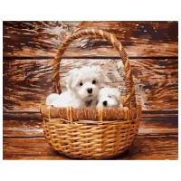 Pictură pe numere Strateg Câini într-un coș 4823113849160 50 x 40 cm / Orizontală