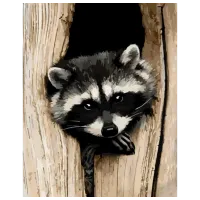 Картина по номерам Strateg Загадочный енот 4823113850821 50 x 40 см / Вертикальная