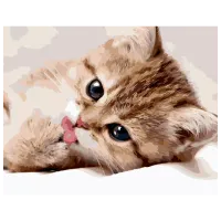 Pictură pe numere Strateg Pisicuță mică GS1133 50 x 40 cm / Orizontală