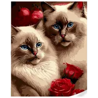 Картина по номерам Strateg Котики в розах GS1618 50 x 40 см / Вертикальная