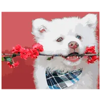 Pictură pe numere Strateg Domnul în alb GS948 50 x 40 cm / Orizontală