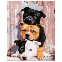 Картина по номерам Strateg Тройка питбулей GS1013 50 x 40 см / Вертикальная