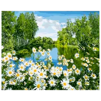 Картина по номерам Strateg Ромашки на берегу реки GS1631 50 x 40 см / Горизонтальная