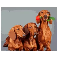 Pictură pe numere Strateg Trei teckeli GS924 50 x 40 cm / Orizontală